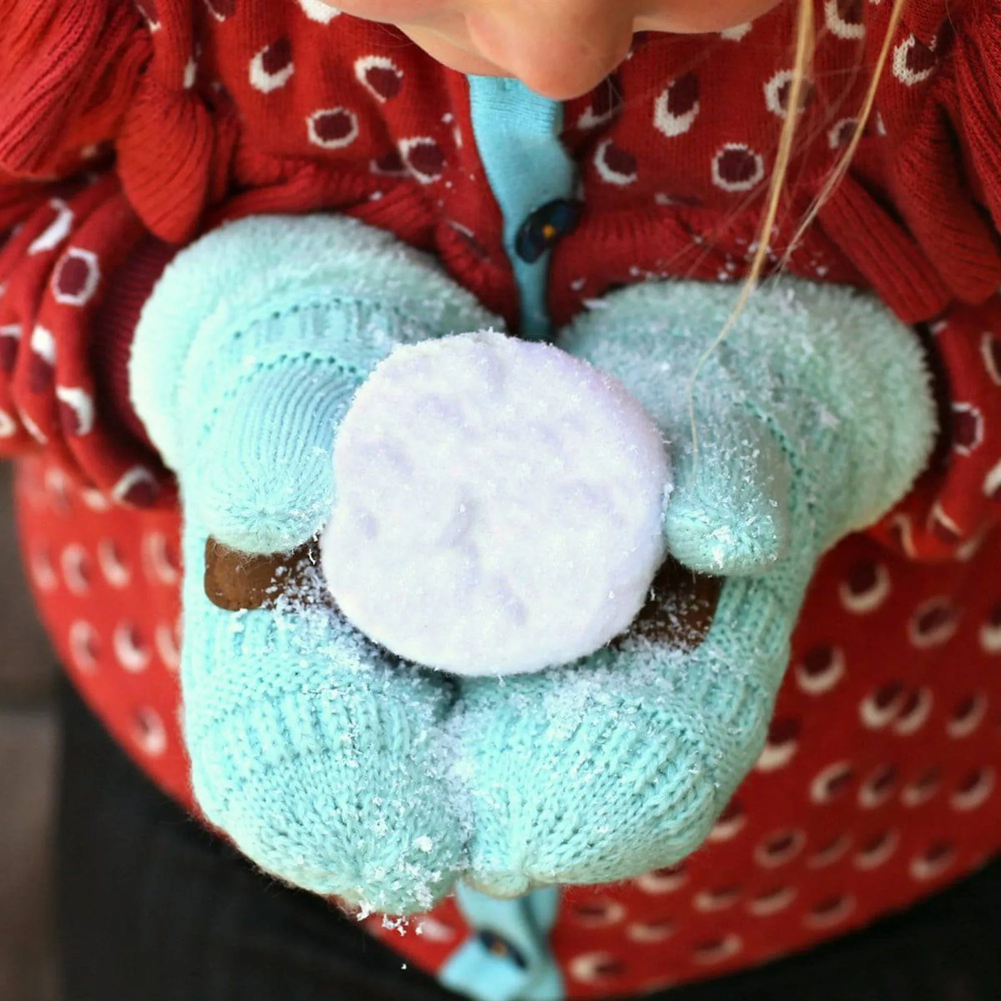 CC Kids Sherpa Lined Mittens